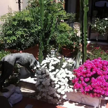 Hotel Grande Bretagne 4*